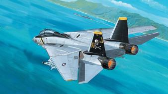 Aircraft military artwork f-14 tomcat wallpaper