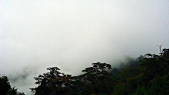 Clouds landscapes nature trees taiwan foggy skies