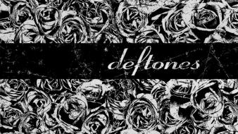 Grunge deftones grayscale roses wallpaper