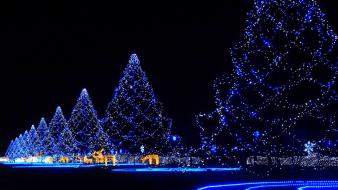 Japan night lights christmas trees decorations wallpaper