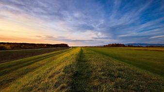 Landscapes nature grass roadside