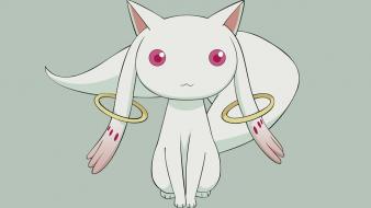 Mahou shoujo madoka magica artwork kyubey wallpaper