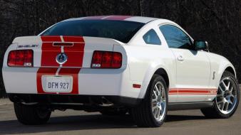 Red stripe 2007 shelby gt500 muscle car wallpaper
