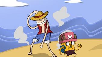 The human dog tony monkey d luffy wallpaper