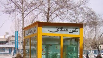 Water yellow fish iran telephone mashhad wallpaper