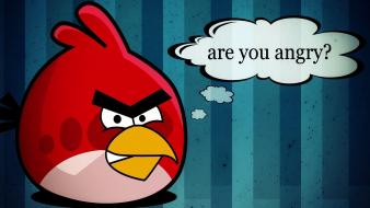 Funny angry birds wallpaper