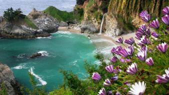 Landscapes nature coast beach flowers rocks falls sea wallpaper