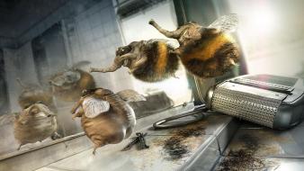 Mirrors funny bees haircut wallpaper