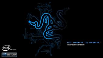 Nvidia razer intel blue wallpaper