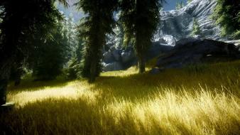 Video games trees the elder scrolls v: skyrim