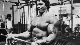 Arnold schwarzenegger workout wallpaper