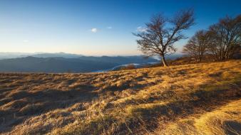 Mountains landscapes nature trees grass autumn wallpaper