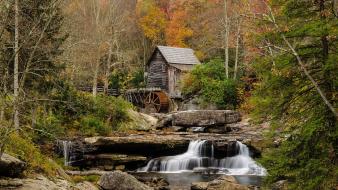 Nature trees forest rivers