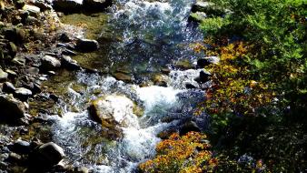 Trees autumn (season) rocks streams creek waterscape wallpaper