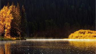 Water nature trees forest lakes autumn