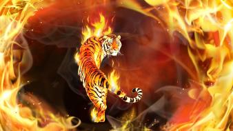 Flames animals fire tigers artwork