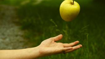 Nature hands grass arm apples