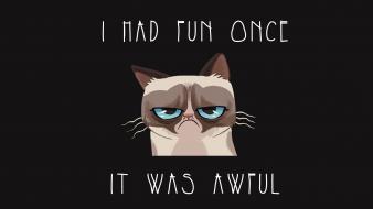 Quotes meme artwork grumpy cat tarder sauce wallpaper