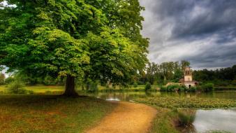 Trees roads