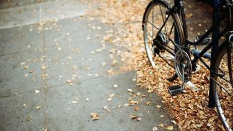 Autumn bicycles leaves fallen wallpaper