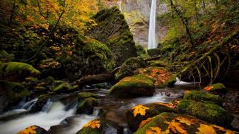 Trees autumn (season) leaves waterfalls wallpaper