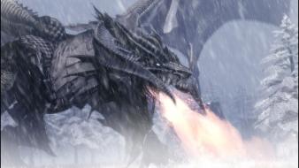 Winter snow dragons inferno vindictus elchulus wallpaper