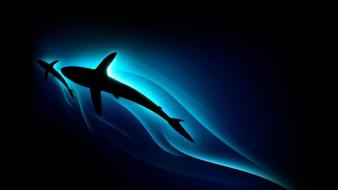 Animals glowing sharks black background wallpaper