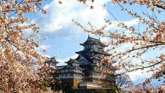 Japan nature cherry blossoms buildings castle himeji wallpaper