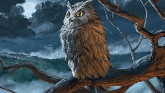 Owls otus wallpaper