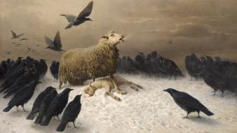 Paintings sheep artwork crows august friedrich albrecht schenck wallpaper