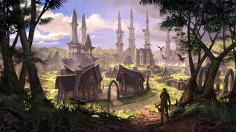 Town the elder scrolls online