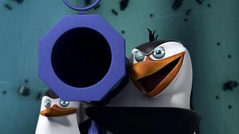 Cartoons penguins rico bazooka wallpaper