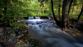 Nature trees forests waterfalls rivers wallpaper