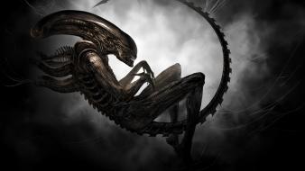 Xenomorph aliens movie