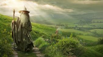 Gandalf the hobbit ian mckellen