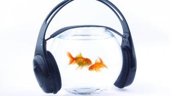 Headphones music goldfish fish bowls wallpaper