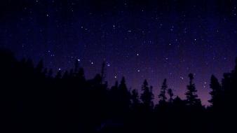 Night stars silhouette wallpaper