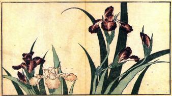 Paintings flowers japanese hokusai ukiyo-e wallpaper