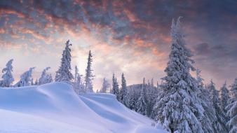 Winter forest hills skies wallpaper