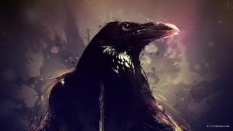 Artwork birds crow wallpaper