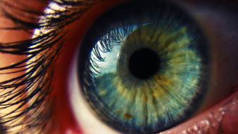 Blue eyes macro iris wallpaper