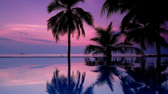 Cgi palm trees swimming pools wallpaper