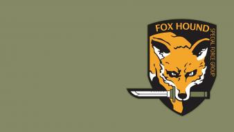 Fox hound wallpaper