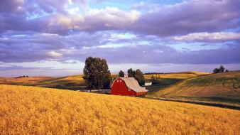 Nature red barn washington