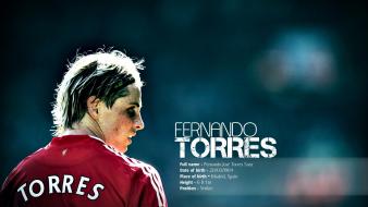 Soccer liverpool fc fernando torres football player