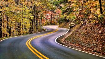 Landscapes nature forest roads autumn wallpaper