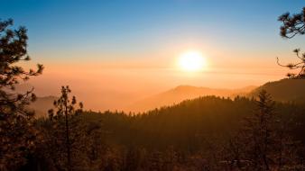 Landscapes nature sun trees forest hills mist california wallpaper