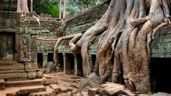 Landscapes ruins cambodia roots temples wallpaper
