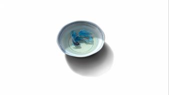Minimalistic fish bowls artwork simple background white fishes wallpaper