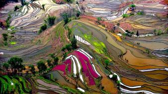 Mountains landscapes china ricefields